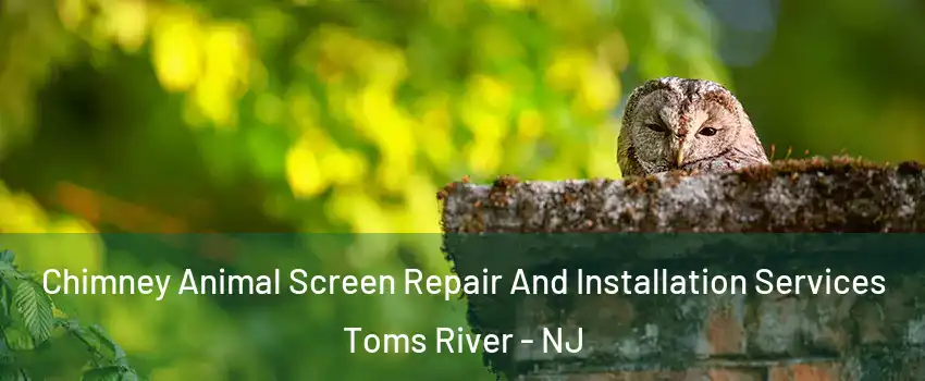  Chimney Animal Screen Repair And Installation Services Toms River - NJ
