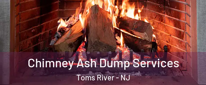  Chimney Ash Dump Services Toms River - NJ