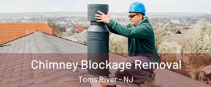  Chimney Blockage Removal Toms River - NJ