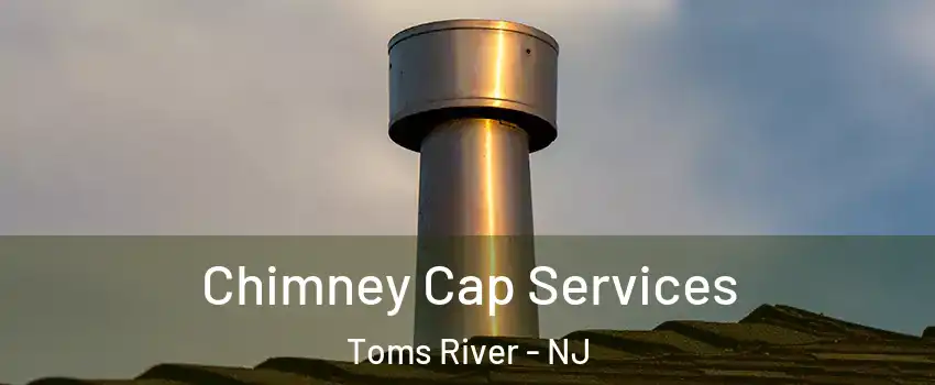  Chimney Cap Services Toms River - NJ