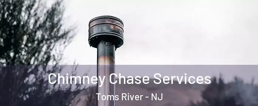  Chimney Chase Services Toms River - NJ