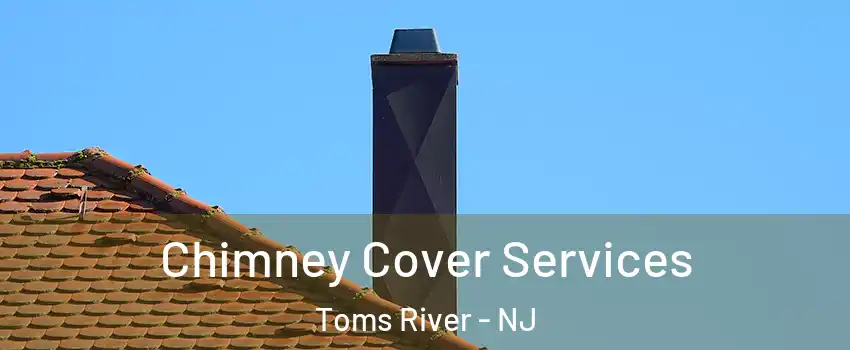  Chimney Cover Services Toms River - NJ
