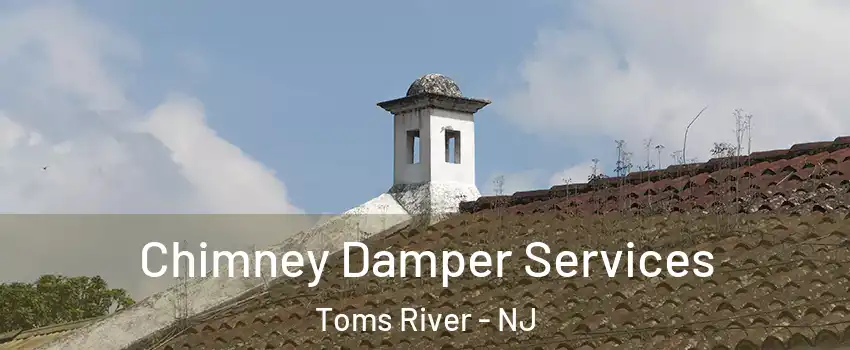  Chimney Damper Services Toms River - NJ