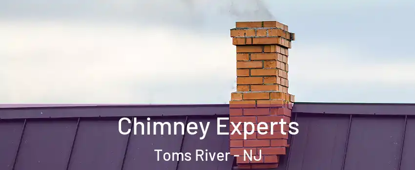  Chimney Experts Toms River - NJ