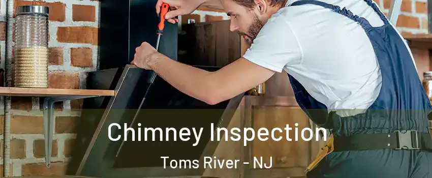  Chimney Inspection Toms River - NJ