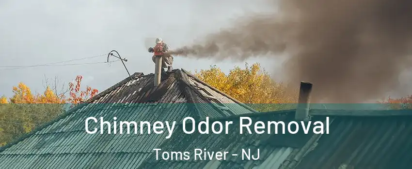  Chimney Odor Removal Toms River - NJ