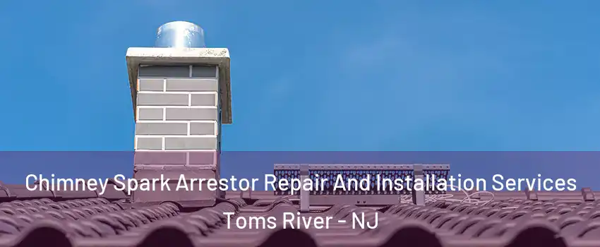  Chimney Spark Arrestor Repair And Installation Services Toms River - NJ
