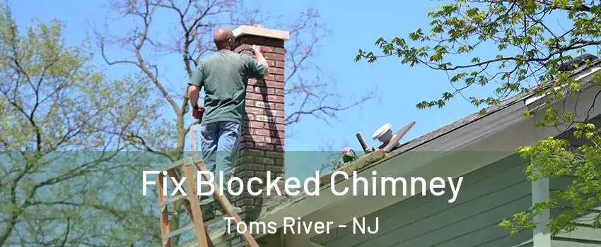  Fix Blocked Chimney Toms River - NJ
