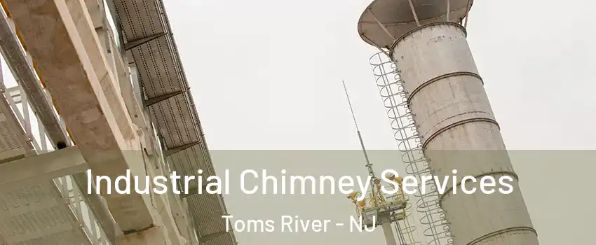  Industrial Chimney Services Toms River - NJ