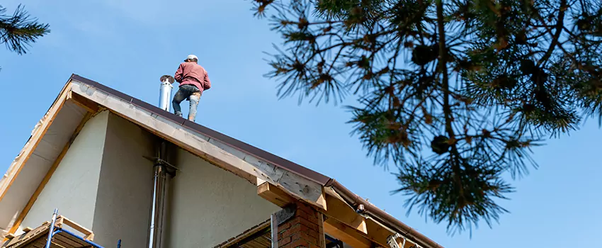 Birds Removal Contractors from Chimney in Toms River, NJ