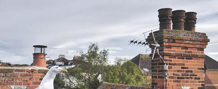 Chimney Cleaning And Restoration in Toms River, New Jersey