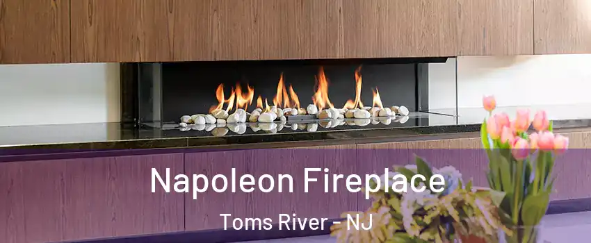  Napoleon Fireplace Toms River - NJ