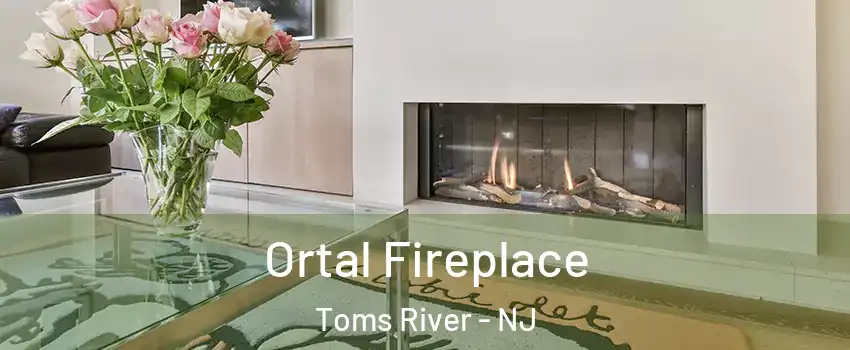  Ortal Fireplace Toms River - NJ